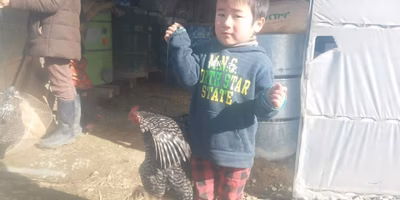 養鶏農家の考える「生死との向き合い方」