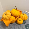 ハロウィン飾り用【小ぶり・30％off】プッチィーニかぼちゃセット