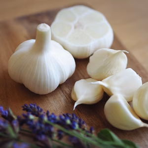 【早い者勝ち】田子町産にんにく【２Lサイズ5玉】8月以降お届け