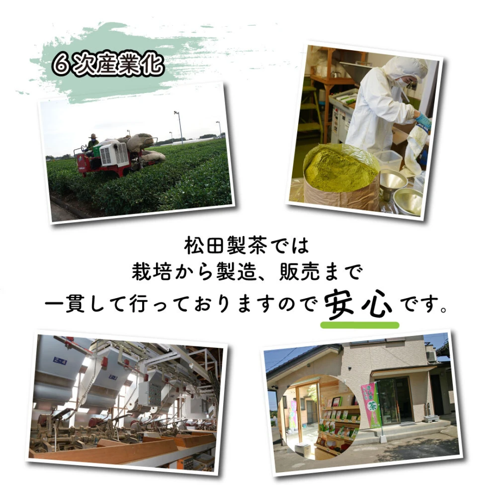 【送料無料】和紅茶アールグレイ／2g×50 ティーバッグ 猿島茶 TBG-073