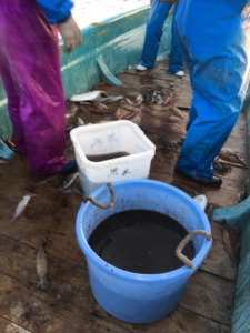 14717290_1331546816870150_6397715869127638740_n-1