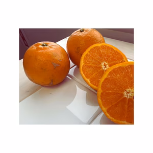 たんかん　喜界島　（規格外商品）