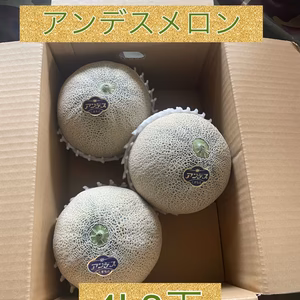 アンデスメロンメロン4L3玉贈答用