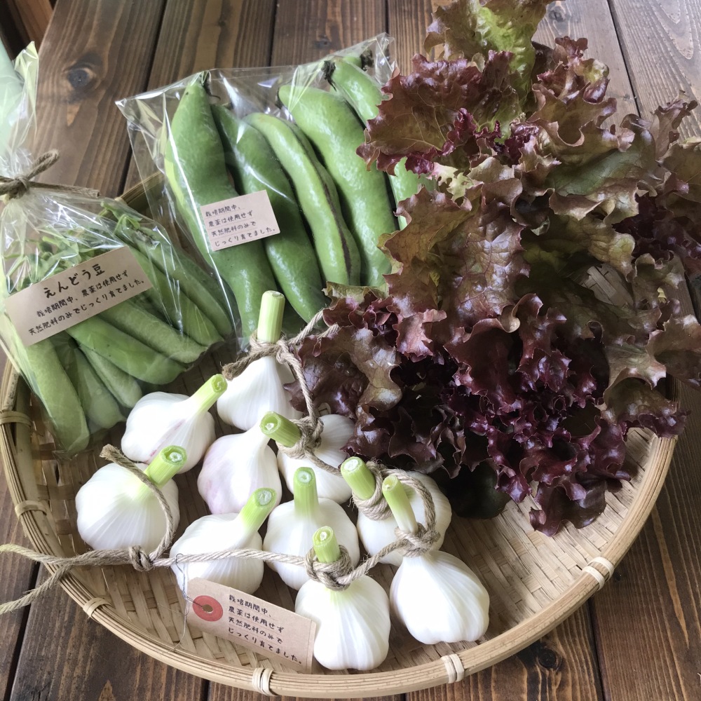 本気de旬野菜セット 生にんにく えんどう豆 そら豆 サニーレタス 農家漁師から産地直送の通販 ポケットマルシェ