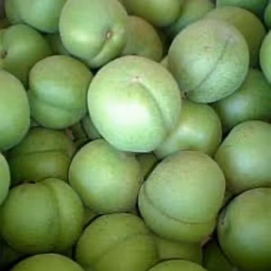 福島県飯坂町産　高田梅