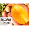 【加工向き(小粒)】甘くてジューシー生プルーン《ビッグパープル》