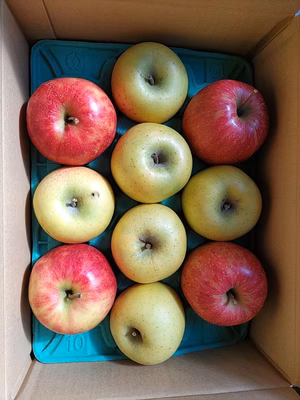 みんなの投稿の画像