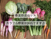 【農薬•化学肥料 不使用】お好きな量の春夏野菜セット
