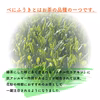 【送料無料】粉末べにふうき／40g 春の季節に 松田製茶 お茶 POD-004