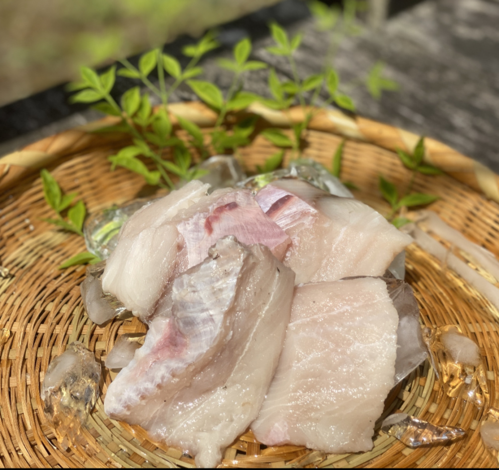 お家de居酒屋召し 深海サメの切り身 農家漁師から産地直送の通販 ポケットマルシェ
