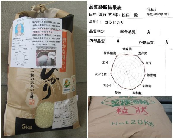 R3年産　油かすなど有機肥料60％施肥で好食味の特別栽培米コシヒカリ精米5ｋｇ