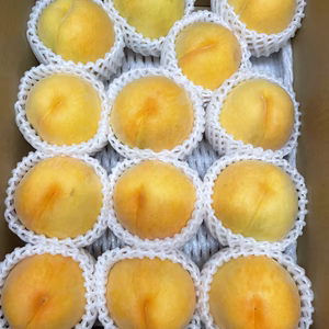 早い者勝ち！秘味黄金　小玉3kg箱満杯詰め