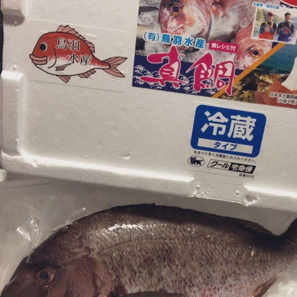 300箱突破記念 日本本土最西端の海で大切に育てた真鯛 捌き無料 有限会社 鳥羽水産 農家漁師直送のポケットマルシェ