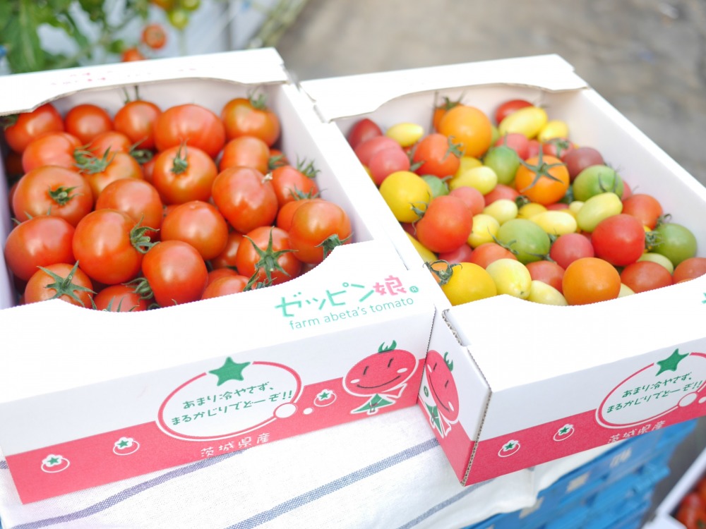 茨城県結城市｜株式会社ファームアベタ｜阿部田 誠さんの生産者