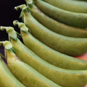 ご支援下さい。訳ありスナップエンドウぎゅうぎゅう詰め出荷。