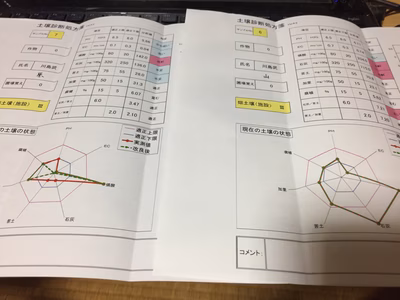 みんなの投稿の画像