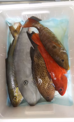 みんなの投稿の画像