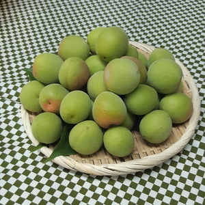 青梅・南高　M～２Lサイズ（中～大粒／梅干し・梅酒など）　約２kg～