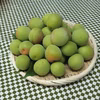 青梅・南高　M～２Lサイズ（中～大粒／梅干し・梅酒など）　約２kg～