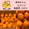 愛情たっぷりで育った有田みかん★温州みかん家庭用LLサイズ約10kg