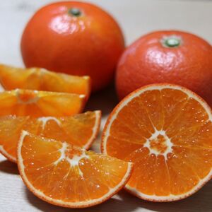 柿じゃないよ、みはやだよ！真っ赤な柑橘【箱込み2キロ】