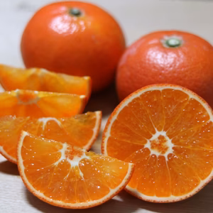 柿じゃないよ、みはやだよ！真っ赤な柑橘【箱込み2キロ】