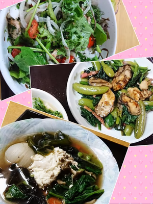 みんなの投稿の画像