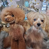 レオン&アンジュ