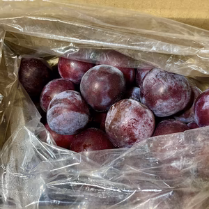 【淡路島産】【自然農】超熟成日本すもも　冷凍2kg