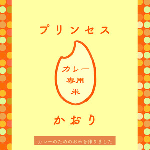 新米 大山で育てたカレーライス専用米 プリンセスかおり