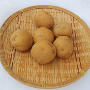 【野菜ソムリエ銀賞受賞】自然農法キタアカリ 6kg(大きめサイズ)