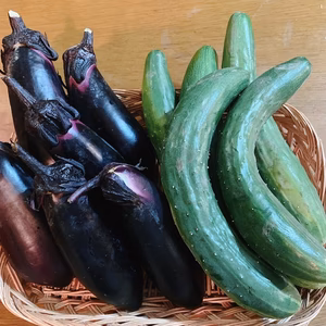 夏野菜セット(露地野菜)2品目　【農薬不使用】　
