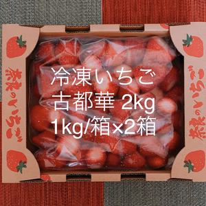 ★冷凍イチゴ　奈良県特産「古都華」2kg ☆冷凍便☆