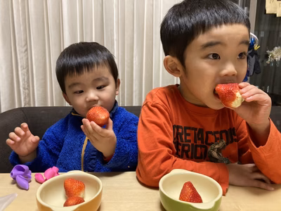 みんなの投稿の画像