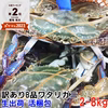 2～4kg 活梱包！訳ありワタリガニ オスメス混合 ガザミ 渡り蟹 活蟹 活カニ