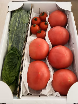 みんなの投稿の画像