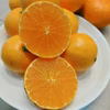 期間限定20！春柑橘【あすみ メロゴールド 麗紅】 3種類セット  