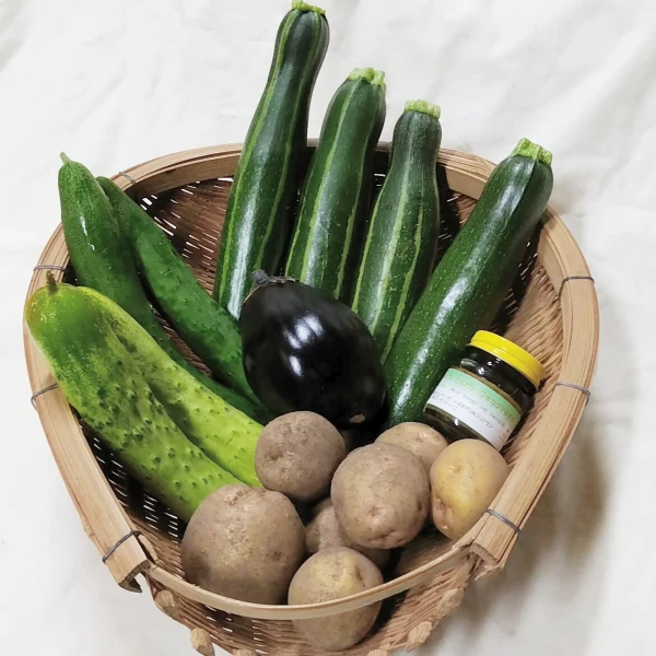 サユールイトシロの加工品をどれか1品と自然栽培野菜BOXをセットで！　