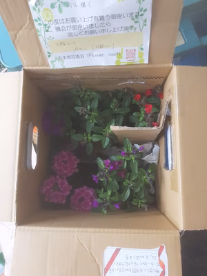 みんなの投稿の画像