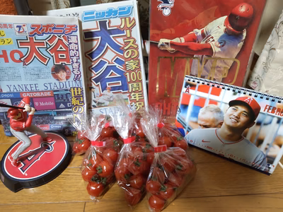 みんなの投稿の画像