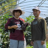 南方 望 | ピヨにゃんファーム