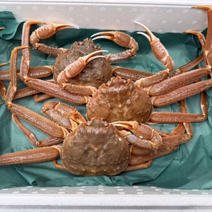 【北海道産】天然 生オオズワイガニ（訳アリ）3杯