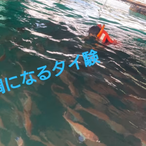 鯛になるタイ験 & 塩釜体験ランチ  体験券 