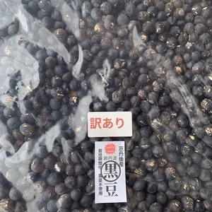 沢山黒豆食べたーい！訳あり　新丹波黒豆　無農薬栽培＜黒豆五目煮レシピ付き＞