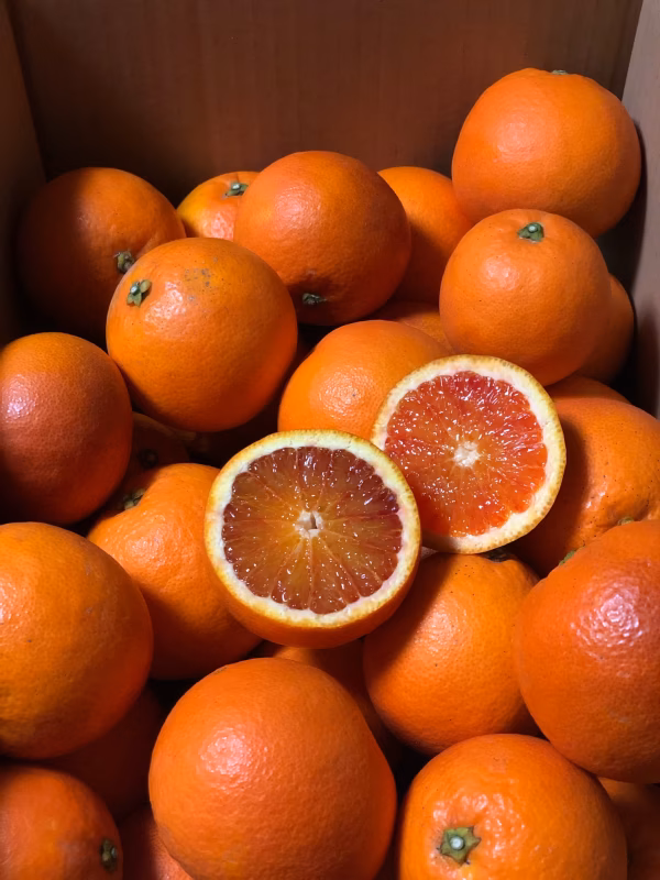 買わなきゃ損　希少な【ブラッドオレンジ】1.5kg みかん
