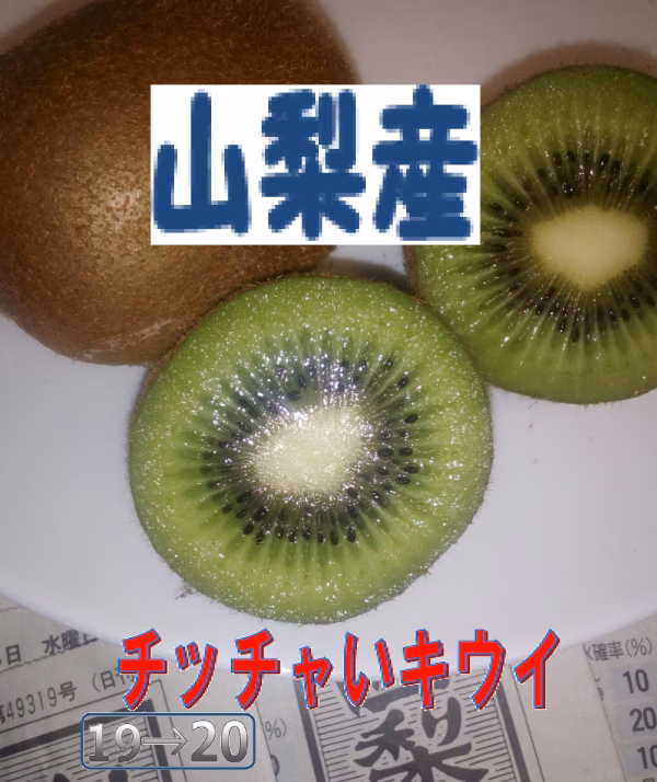 ❤送料一律❤調理に加工に思う存分❤チッチャいキウイフルーツ　産地直売