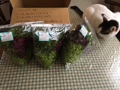 みんなの投稿の画像