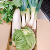 旬の冬野菜セット　3品セット　下仁田ネギ/ダイコン/ハクサイ