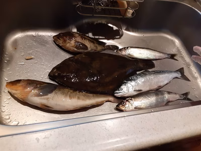 みんなの投稿の画像