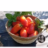 【食の都庄内】シェフ御用達！イタリアのトマト サンマルツァーノ1.5kg